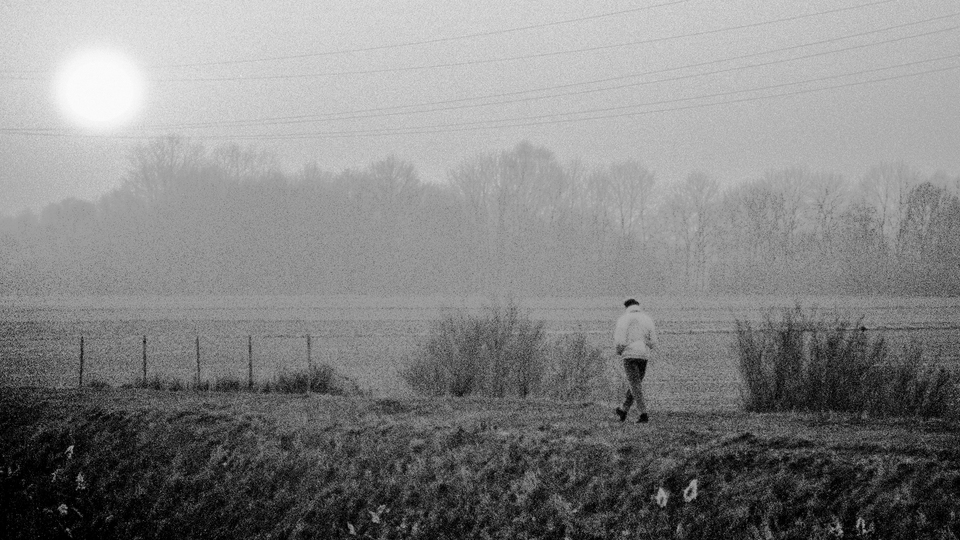 Winter Walk I - ID 011066