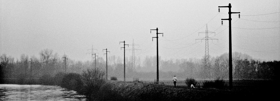 Winter Walk II - ID 011067