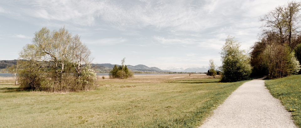 Swiss Walk I - ID 011089