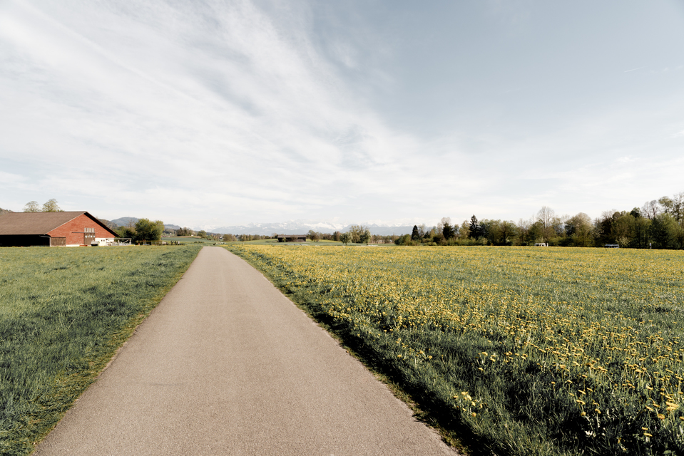 Swiss Walk III - ID 011094