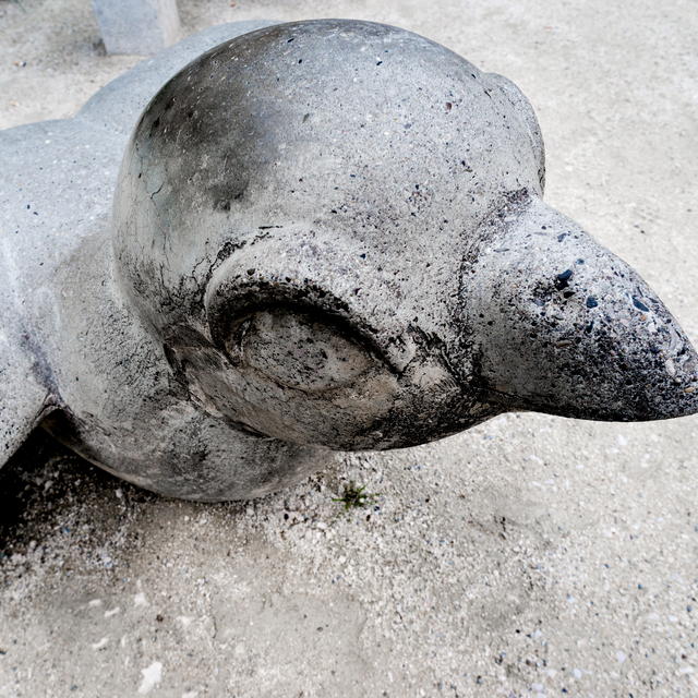 Concrete Sparrow V - ID 011101