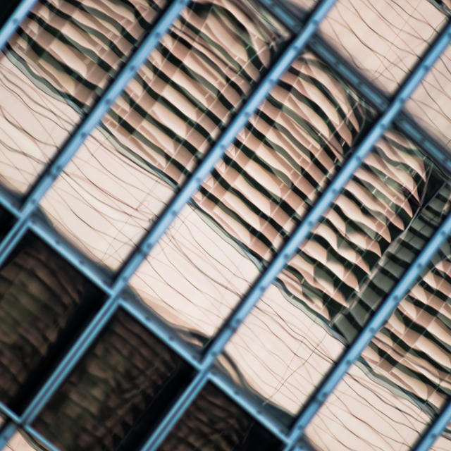 Shaking Shades - ID 011165