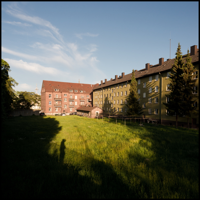 Shadow on Backyard II - ID 011172