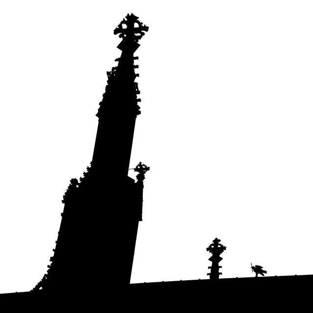 Sparrow on Minster II - ID 011192