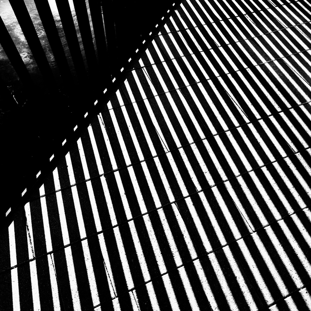 Shadows on Tiles V - ID 011206