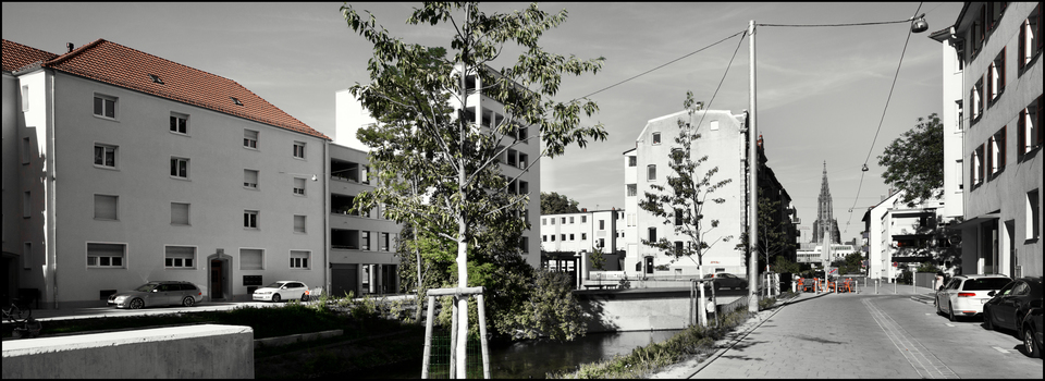 In the West of Minster - ID 011208