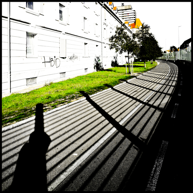 Light in Stripe II - ID 011210