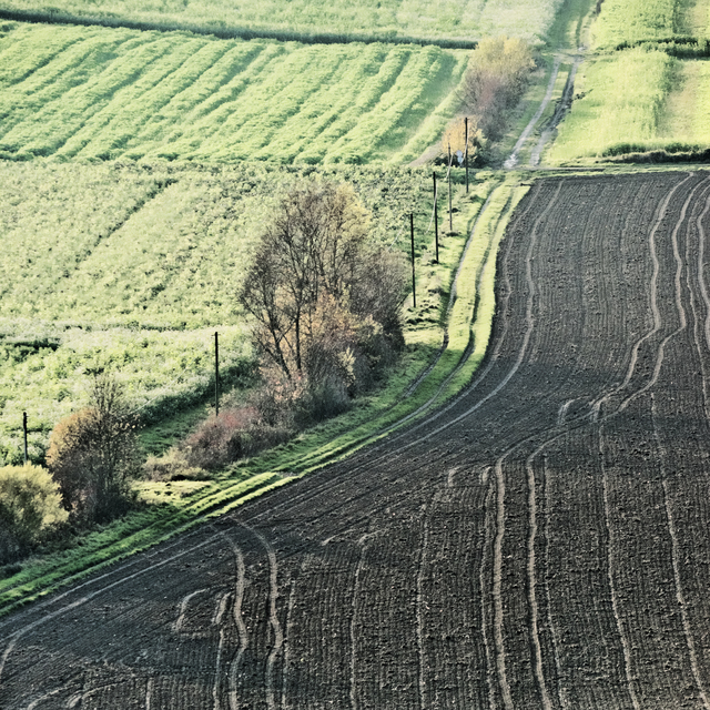 November Fields - ID 011211