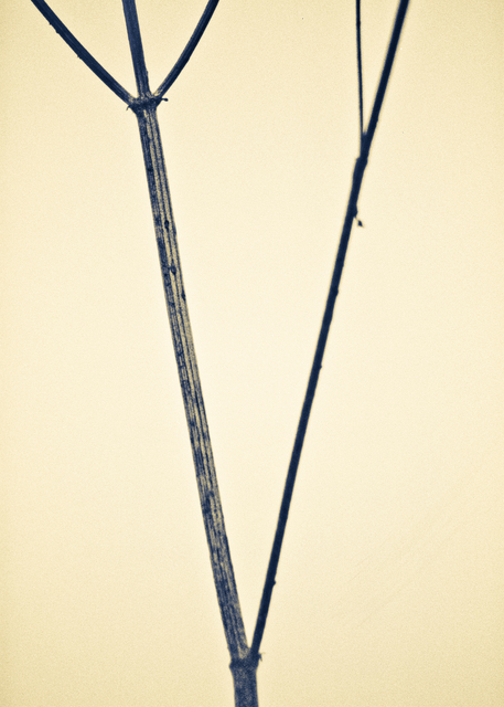 Decision Points - ID 011272