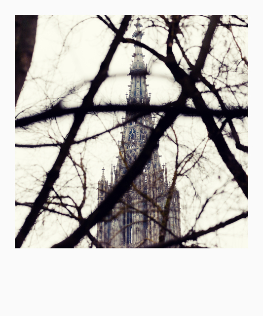 Minster behind Tree - ID 011311