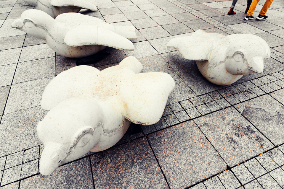 Sparrow Protection III - ID 011319