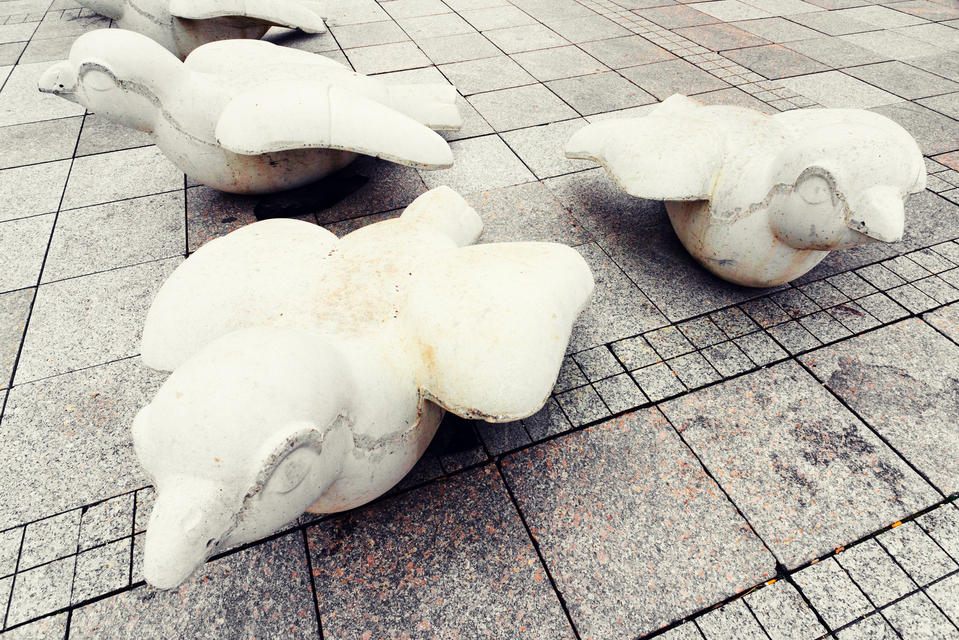 Sparrow Protection IV - ID 011320