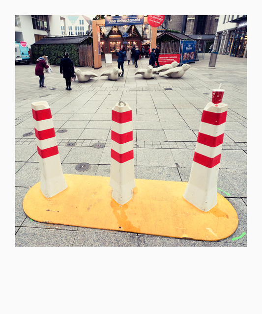 Protection Barrier and Sparrow Protection - ID 011322