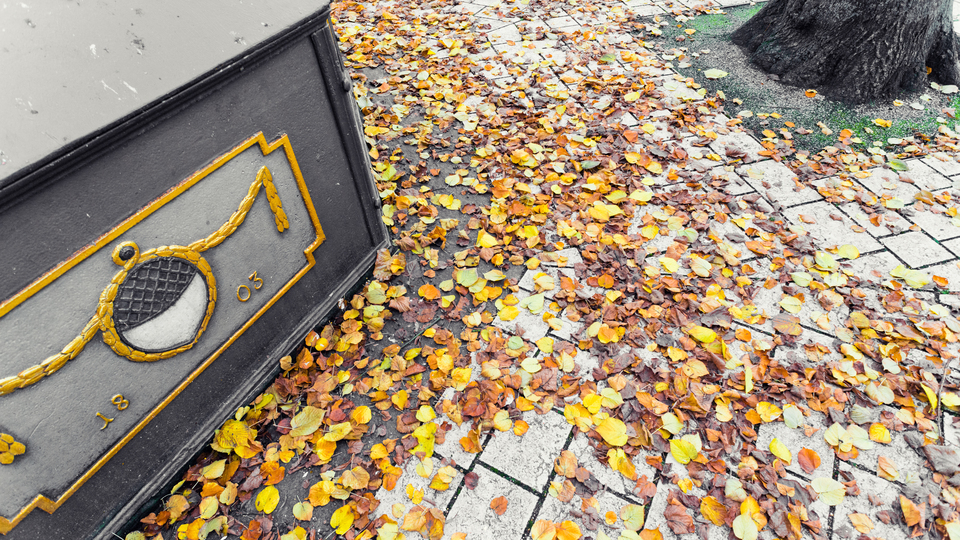 Golden 1803 - ID 011325