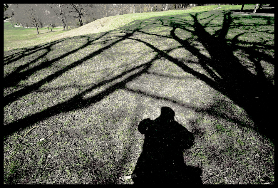 Under Trees I - ID 011343