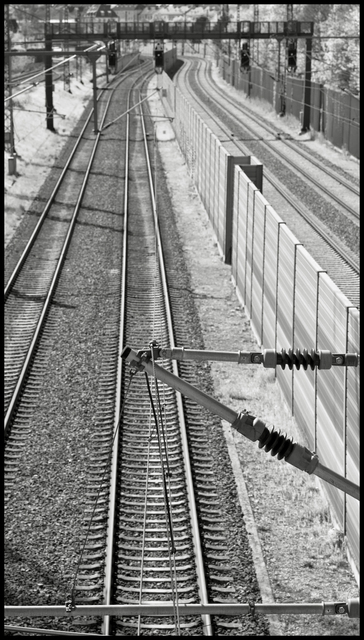 Separted - ID 011363