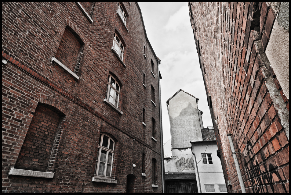 Backyard without Cars - ID 011392