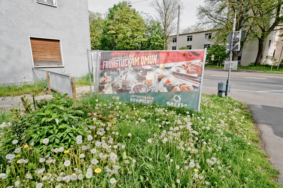 FRUEHSTUECK IM QMUH - ID 011406