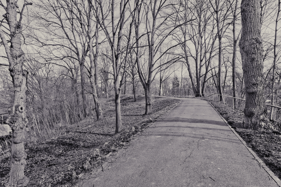 Winter Glacis II - ID 011450