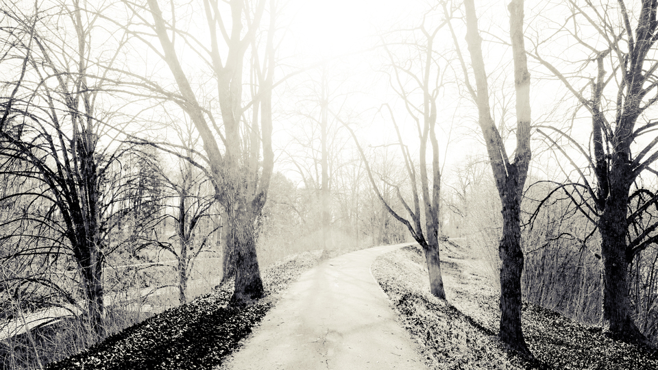 Winter Glacis V - ID 011453