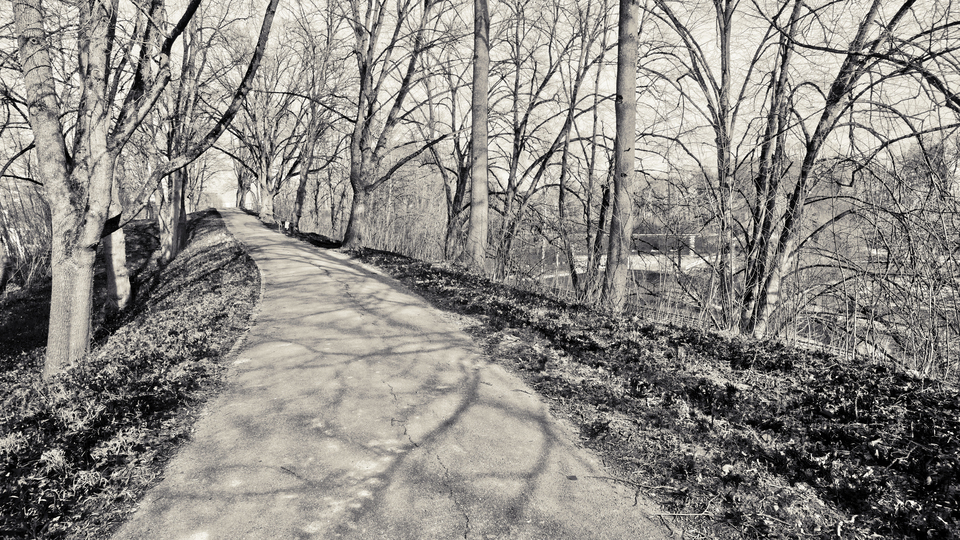 Winter Glacis VI - ID 011454