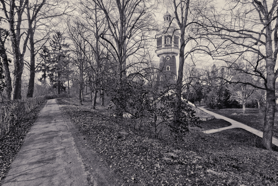 Winter Glacis VIII - ID 011456