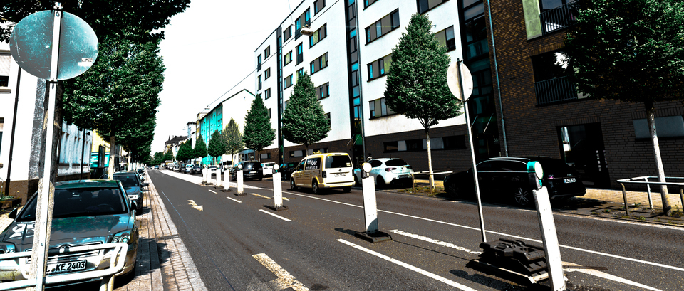 Row of Trees - ID 011576