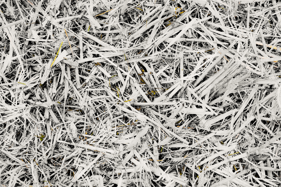 Straw on Ground IV - ID 011690