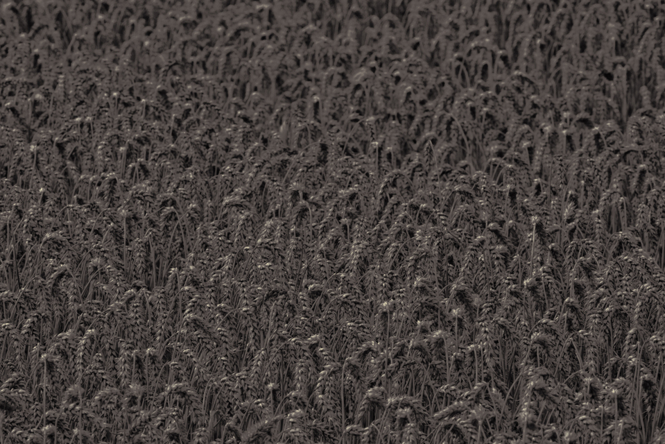 Dark Grey - ID 011718