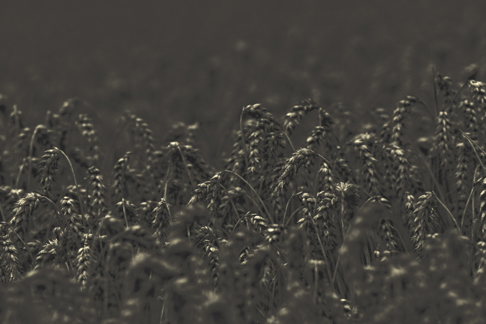 Dark Grey with Highlights I - ID 011724