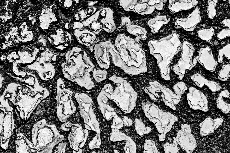 White Island XII - ID 011819