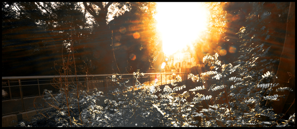Danube Island Bridge - ID 011875
