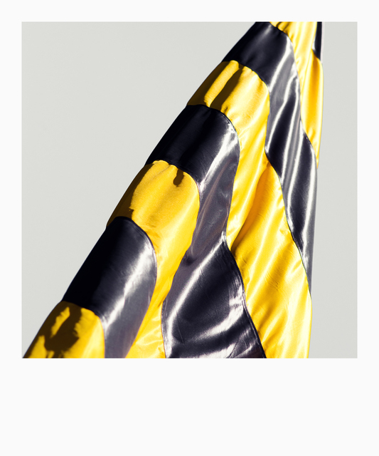 Yellow Black - ID 011956