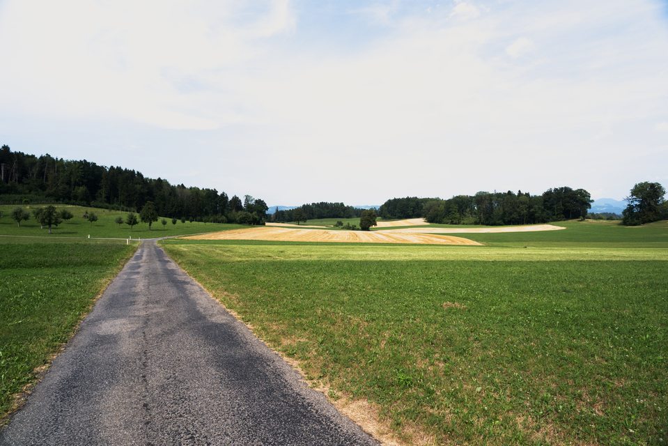 Swiss Landscape - ID 011968