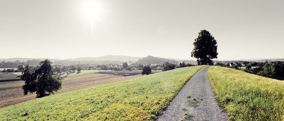 Linde III - ID 011973