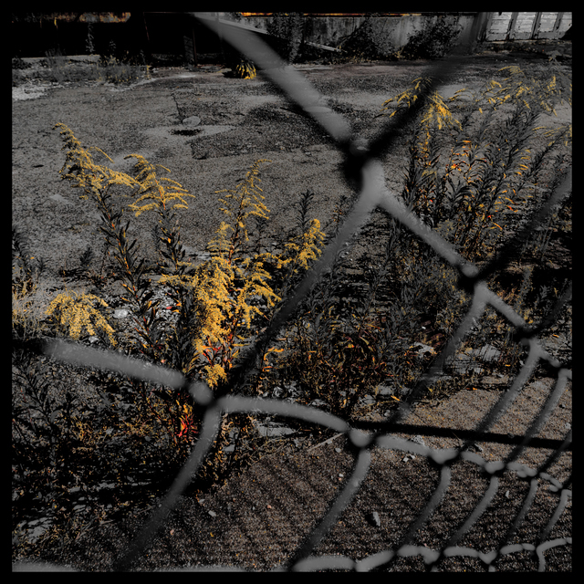 Behind the Fence I - ID 012104