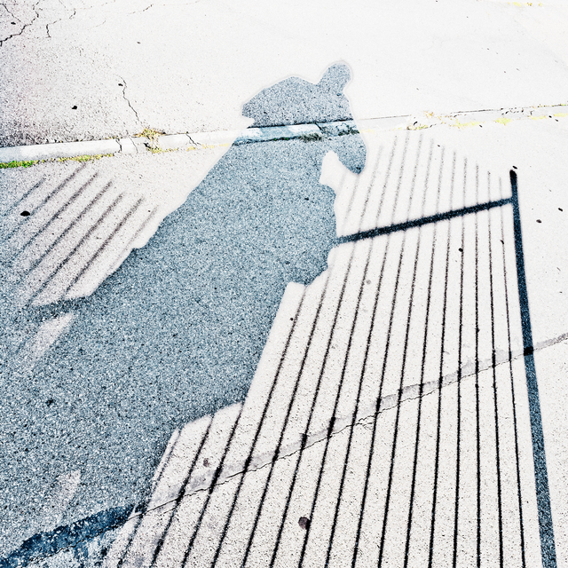 Behind Fence - ID 012119