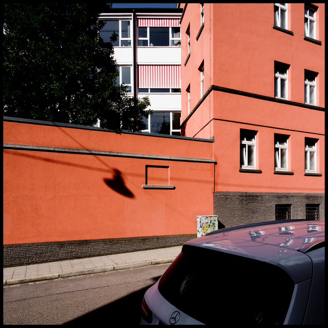 Orange Shadow Play V - ID 012132