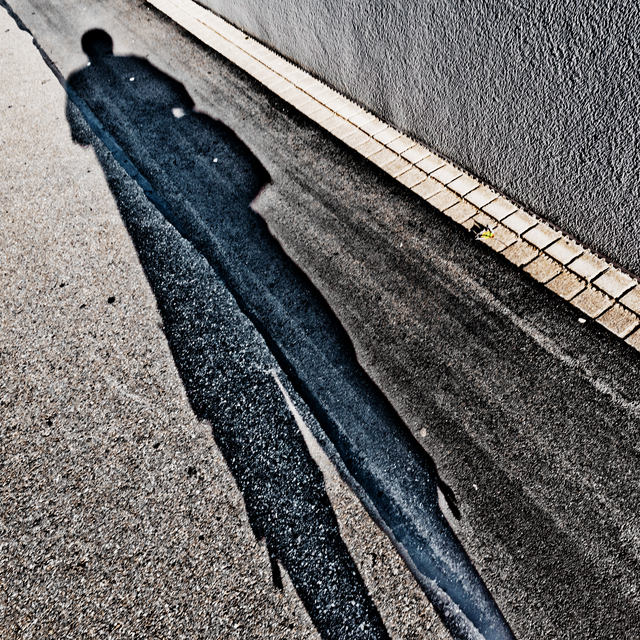 Long Shadow - ID 012142