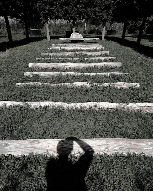 Wood Path II - ID 012145