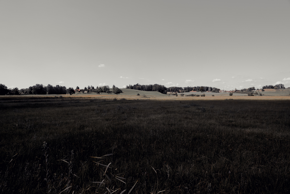 Darkness in Forground II - ID 012151