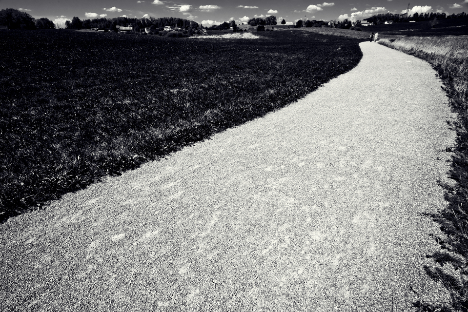 Curved Path II - ID 012155