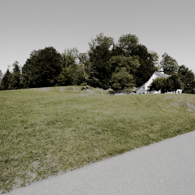 Grey Path II - ID 012158