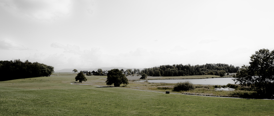 Grey Path III - ID 012159