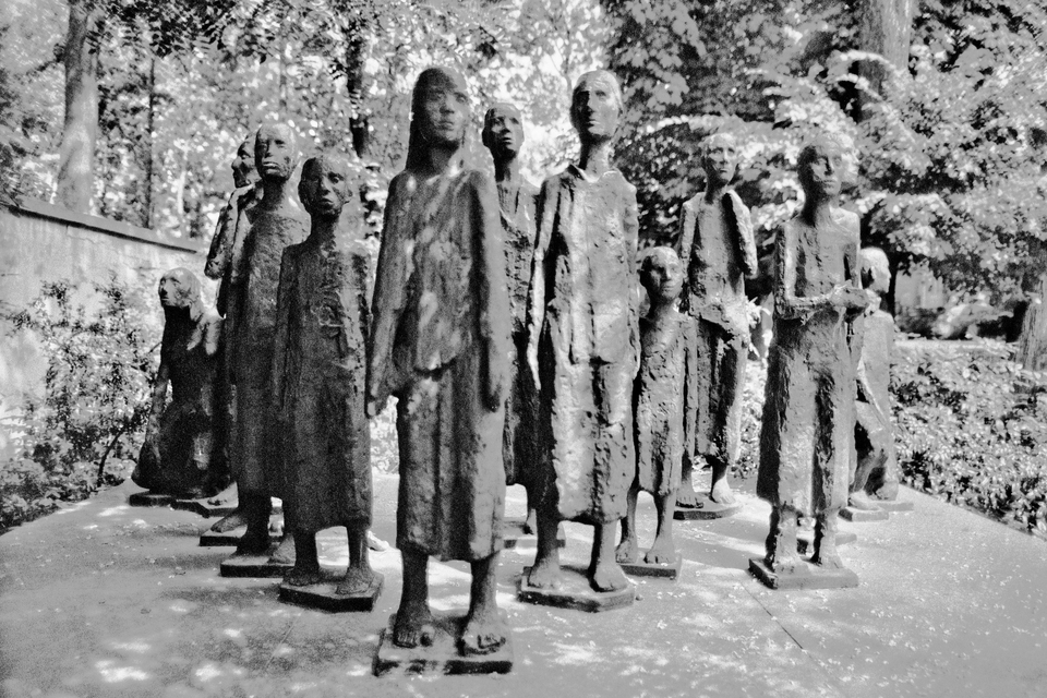 Within the Cemetery - ID 012184