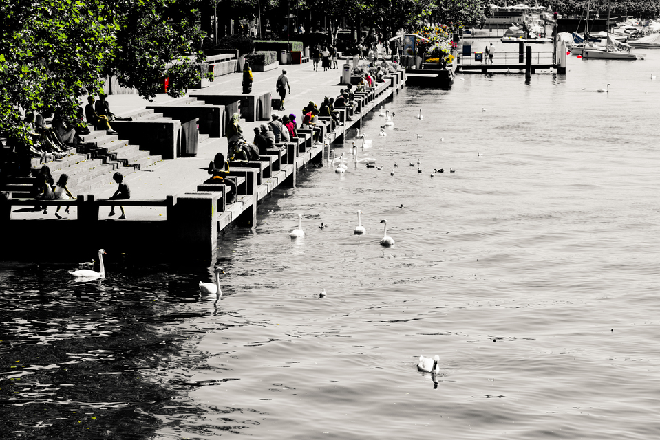 Zurich Lake Bellevue II - ID 012393