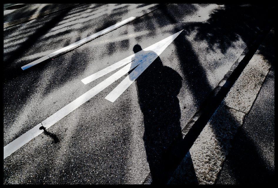 Refections Light Shadows V - ID 012418