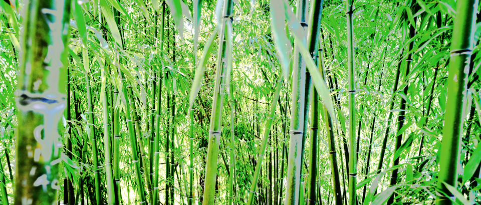 Zurich Center I - ID 012440