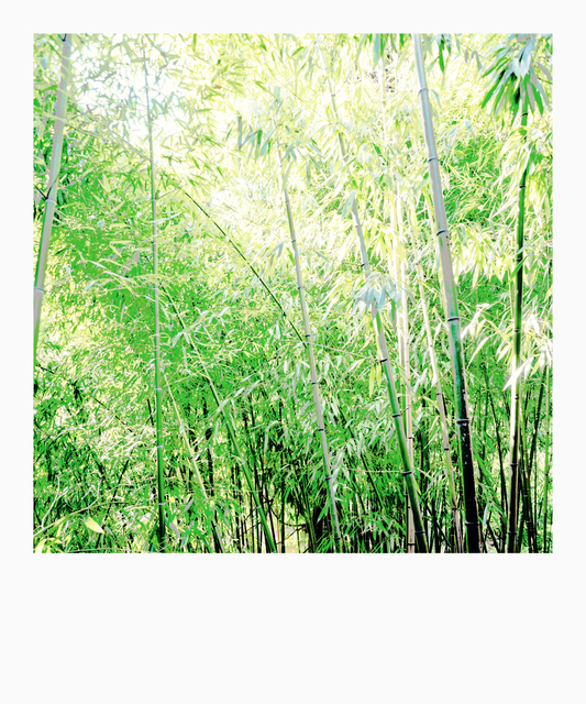 Zurich Center II - ID 012441