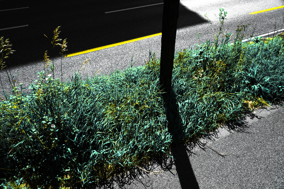 Side Stripes - ID 012484